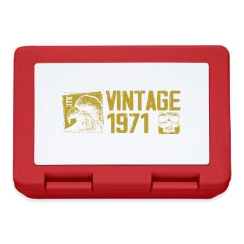 Vintage 1971 Cadeau Anniversaire Rétro 1971 - Boîte à goûter - rouge - Devant