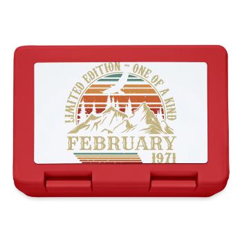 February 1971 Retro Born February 1971 Birthday - Lunchbox - red - Front