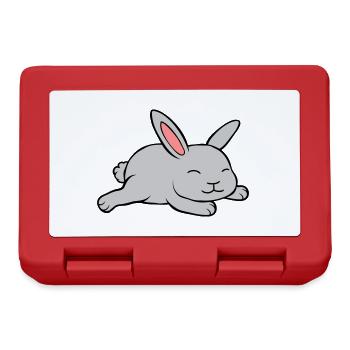 Petit lapin mignon - Boîte à goûter - rouge - Devant