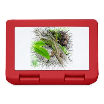 The fence lizcker is a widespread reptile - Lunchbox - red - Front