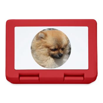 Pomeranian dog cute dog - Lunchbox - red - Front