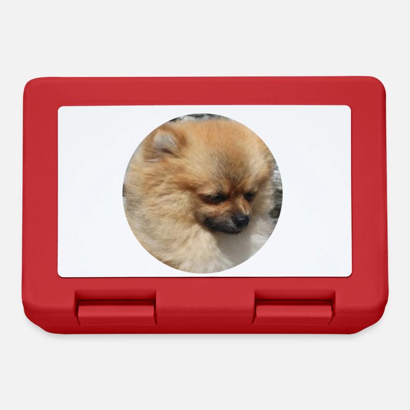 Pomeranian Hunderasse niedlicher Hund - Brotdose - Rot