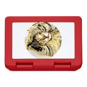 Chubby sleeping tabby cat - Lunchbox - red - Front