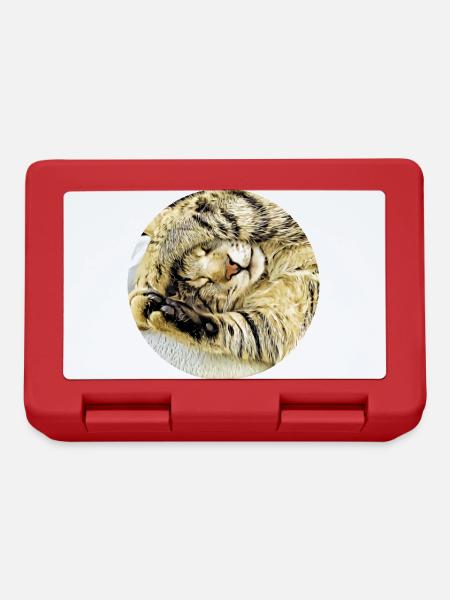 Chubby sleeping tabby cat - Lunchbox - red