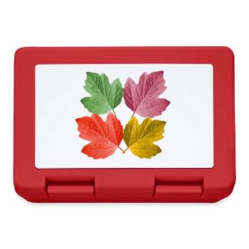 bunte Blätter im Herbst von einem Baum Blatt Laub - Brotdose - Rot - Vorne