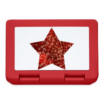 Star - hand-painted by Martina Eßer - Lunchbox - red - Front