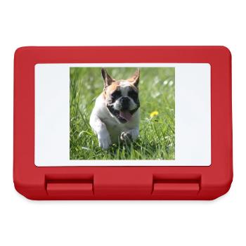 Allez Bully Go Français Bulldog - Boîte à goûter - rouge - Devant
