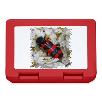 Beewolf likes bee larvae to eat - Lunchbox - red - Front