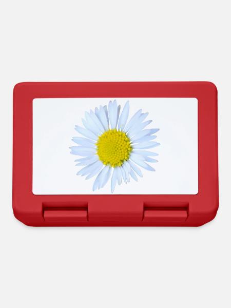 Daisy - Lunchbox - red