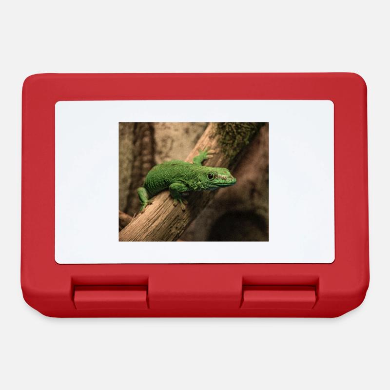 Gecko diurne de Madagascar sur une branche - Boîte à goûter - rouge