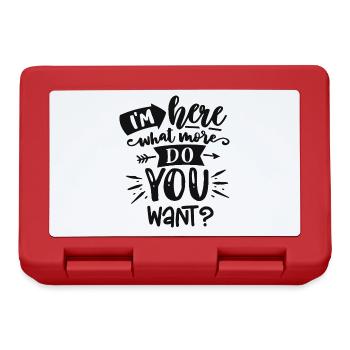 Antisocial - What more? - pos - Lunchbox - red - Front