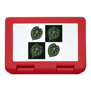 Anthurium Clarinervium - Lunchbox - red - Front