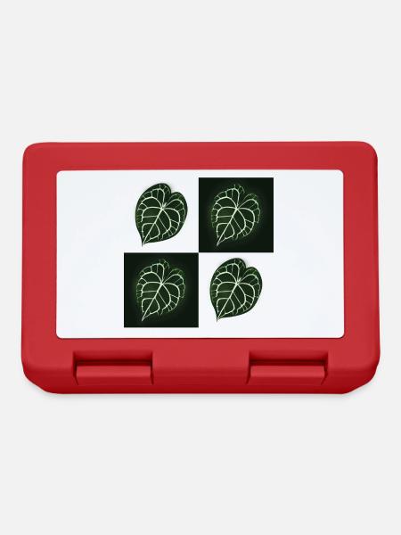 Anthurium Clarinervium - Lunchbox - red
