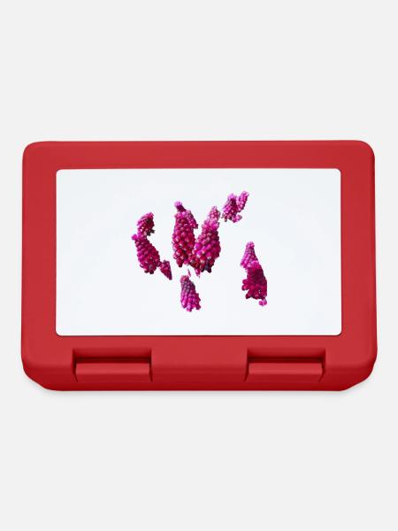 Fleurs,Fleur,Printemps,Fleurs,Jacinthes - Boîte à goûter - rouge