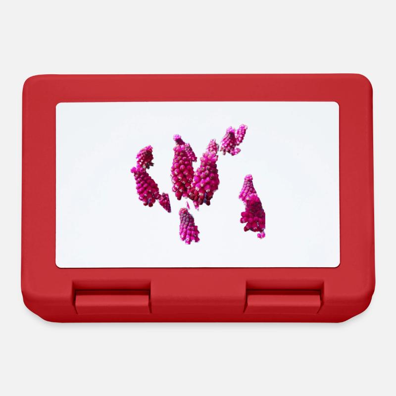 Fleurs,Fleur,Printemps,Fleurs,Jacinthes - Boîte à goûter - rouge