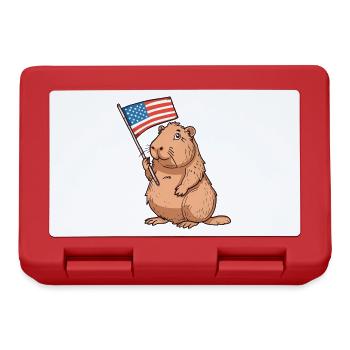 Capybara American Flag 4th of July Capybara Gifts - Brotdose - Rot - Vorne