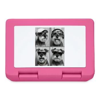 Miniature Schnauzer - Lunchbox - pink - Front