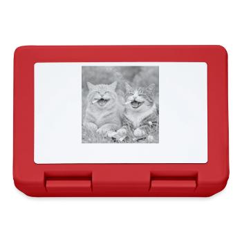 Lustiges Katzen design  - Brotdose - Rot - Vorne