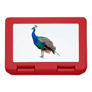 Paon bleu, naturel, photographie - Boîte à goûter - rouge - Devant