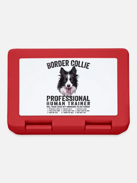 Beautiful Border Collie Pro Human Trainer Border - Brotdose - Rot