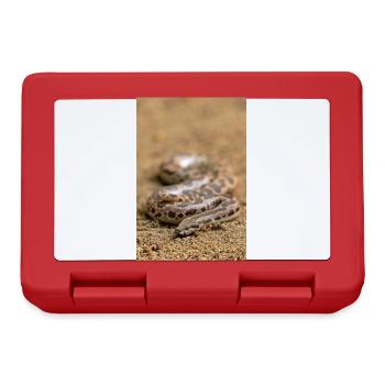 Rough-scaled Sand Boa - Eryx conicus - Sri Lanka - Lunchbox - red - Front