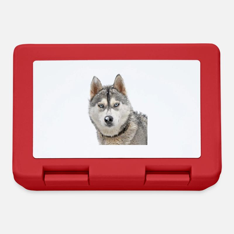 Husky in the snow - Boîte à goûter - rouge