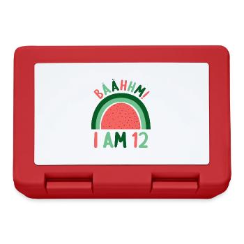 12 years old Rainbow Rainbow 12th birthday - Lunchbox - red - Front
