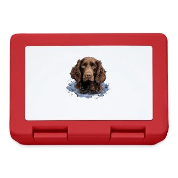 Dog American Water Spaniel - Lunchbox - red - Front