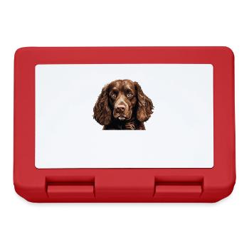 Hund American Water Spaniel - Brotdose - Rot - Vorne