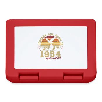 Vintage 1954 Vintage cadeau anniversaire rétro - Boîte à goûter - rouge - Devant