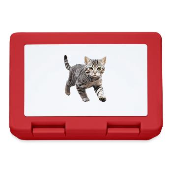 Cat Cats American Wirehair - Lunchbox - red - Front