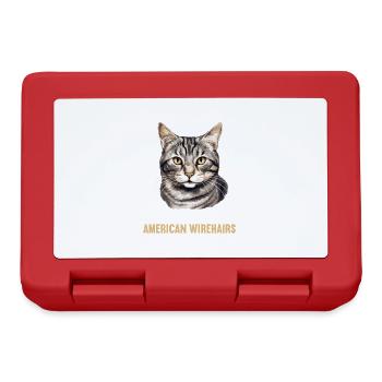 Cat Cats American Wirehair - Lunchbox - red - Front