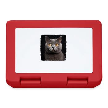 Cat Cats British Shorthair British Shorthair - Lunchbox - red - Front