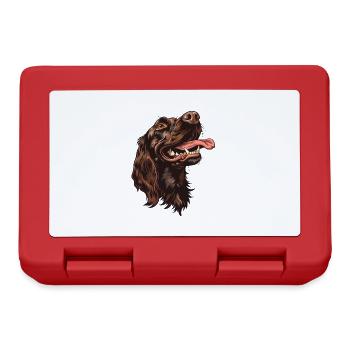 Boykin Spaniel | Cartoon Artwork - Lunchbox - red - Front