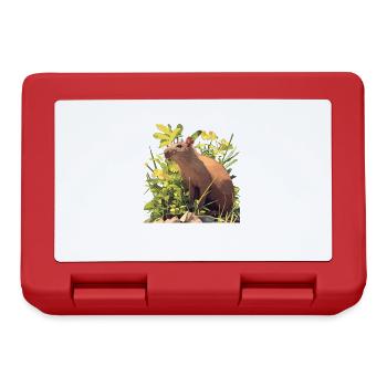 Agouti Agutis Aguti - Brotdose - Rot - Vorne