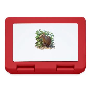 Agouti Agutis Aguti - Brotdose - Rot - Vorne
