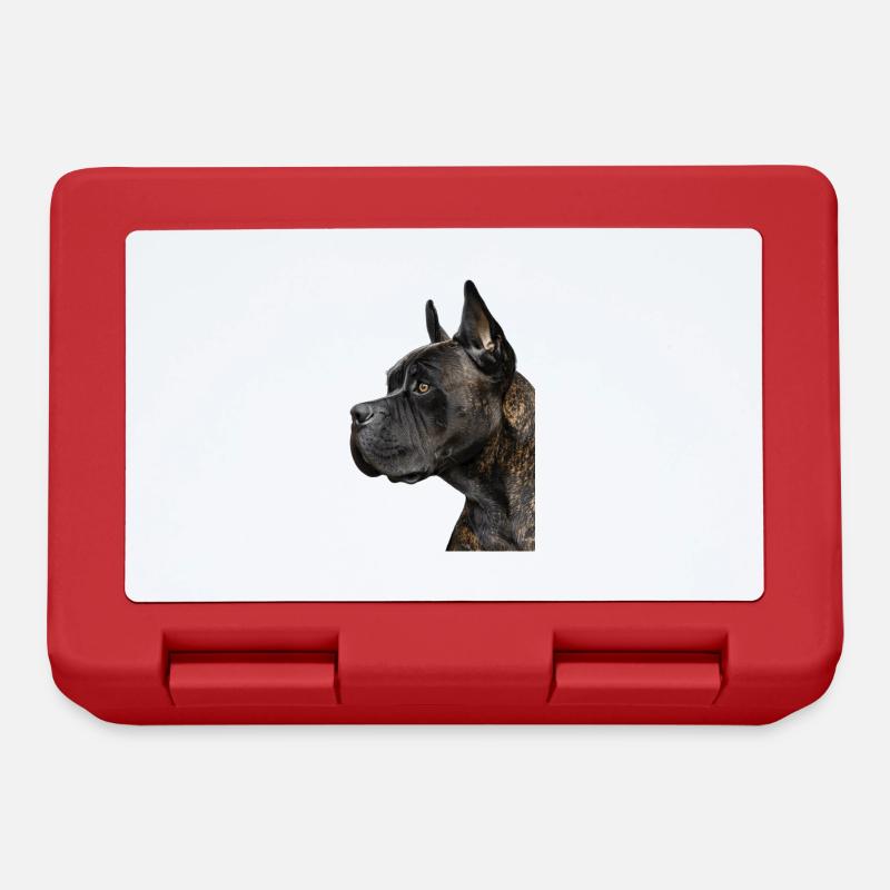 Cane Corso - Brotdose - Rot