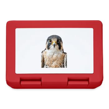 Falcon - Lunchbox - red - Front