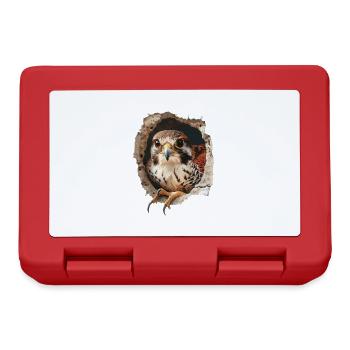 Falcon - Lunchbox - red - Front