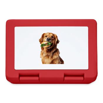 Golden retriever - Boîte à goûter - rouge - Devant