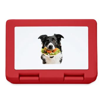 Border Collie - Lunchbox - red - Front