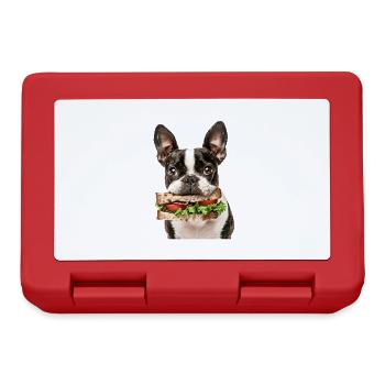 Boston Terrier - Brotdose - Rot - Vorne
