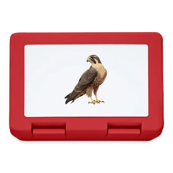 Falcon Falcon - Lunchbox - red - Front