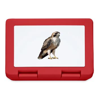 Falcon Falcon - Lunchbox - red - Front
