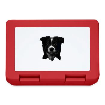 Border Collie - Brotdose - Rot - Vorne