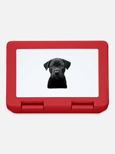 Cane Corso - Brotdose - Rot