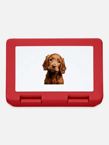 Irish Setter - Brotdose - Rot