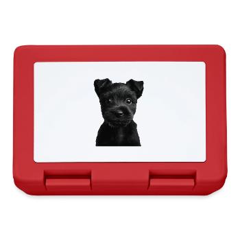Scottish Terrier - Brotdose - Rot - Vorne