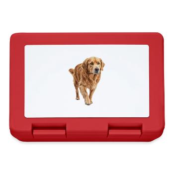 Golden Retriever - Brotdose - Rot - Vorne