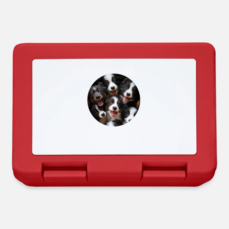 Border Collie - Brotdose - Rot